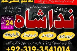 karachi No1 arthorized black magic specialist usa